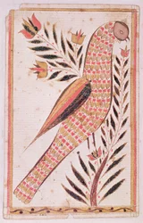 Oiseau